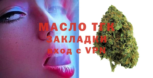 индика Абаза
