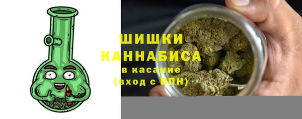 прущие грибы Сатка