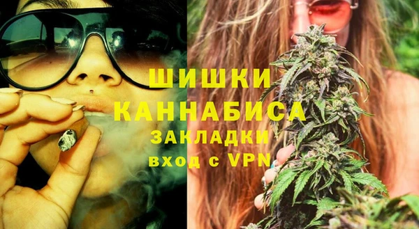 индика Абаза