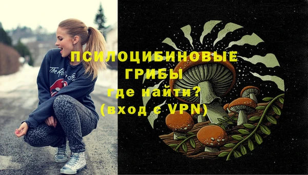 прущие грибы Сатка