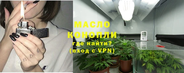 индика Абаза